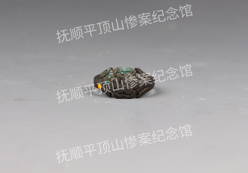 总70-1932年平顶山惨案遇难者的银戒子.jpg